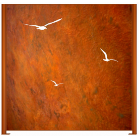 Claustras - Brise-vues Mouette