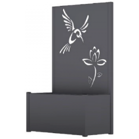 Colibri
